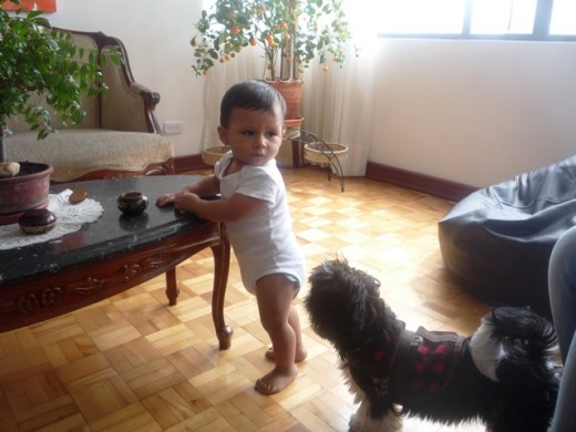 Tierno y juguetón con los niños Tierno y juguetón con los niños